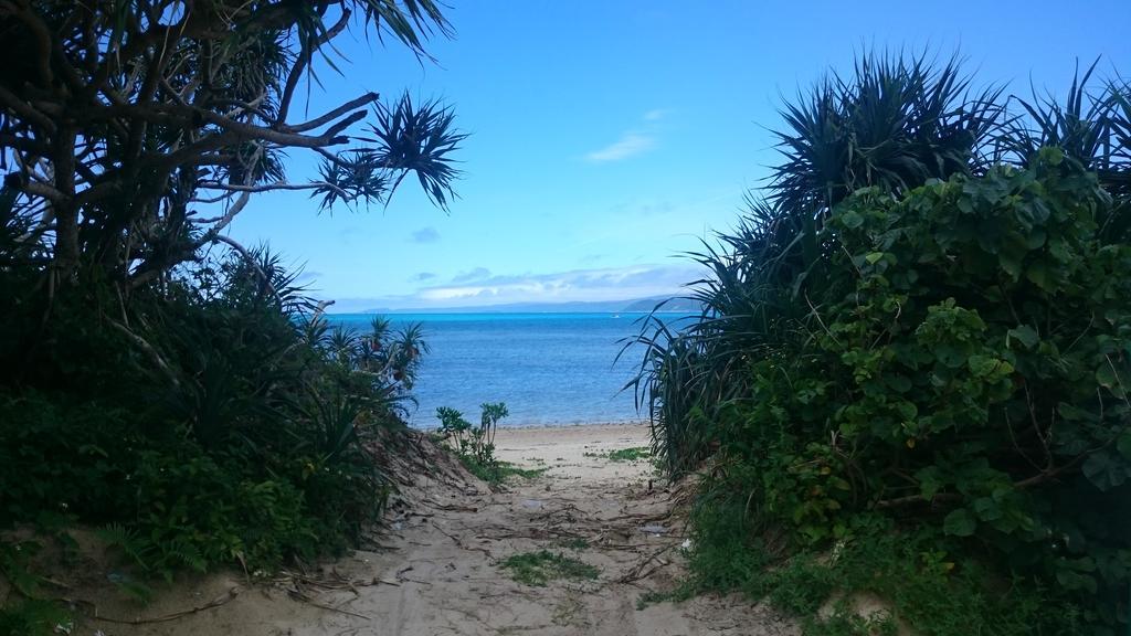 Ocean Front SUMUIDE Appartement Nago Buitenkant foto